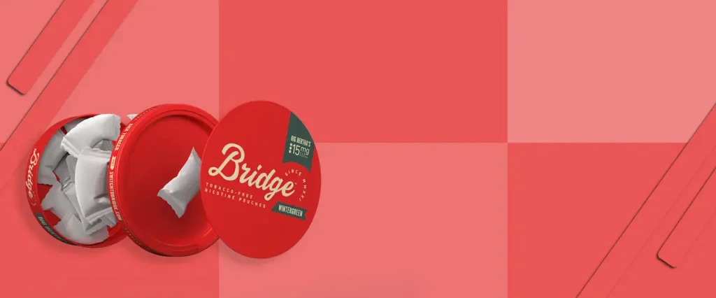 Bridge-Banner