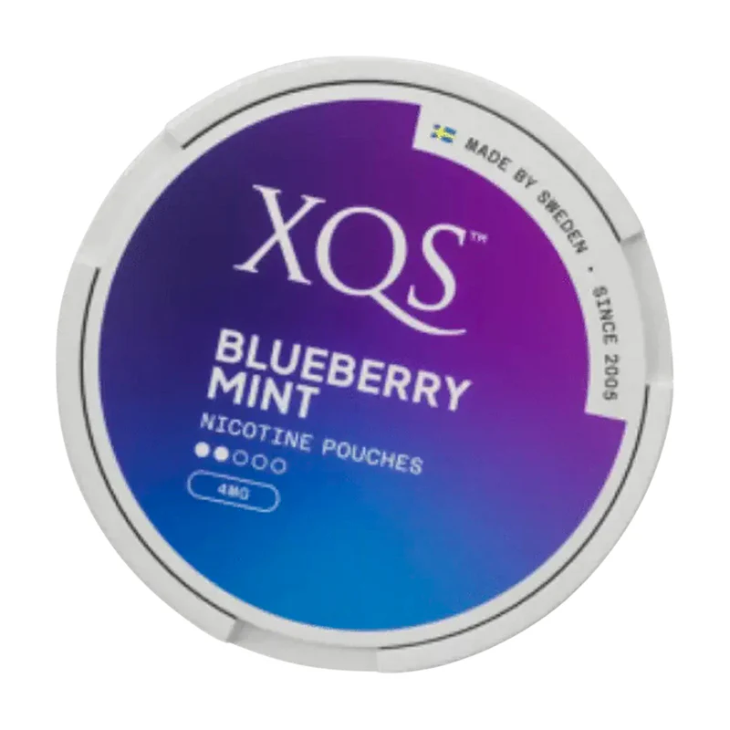 XQS Blueberry Mint Flavour