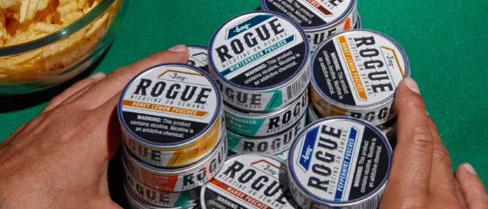 all in rogue nicotine pouches blog